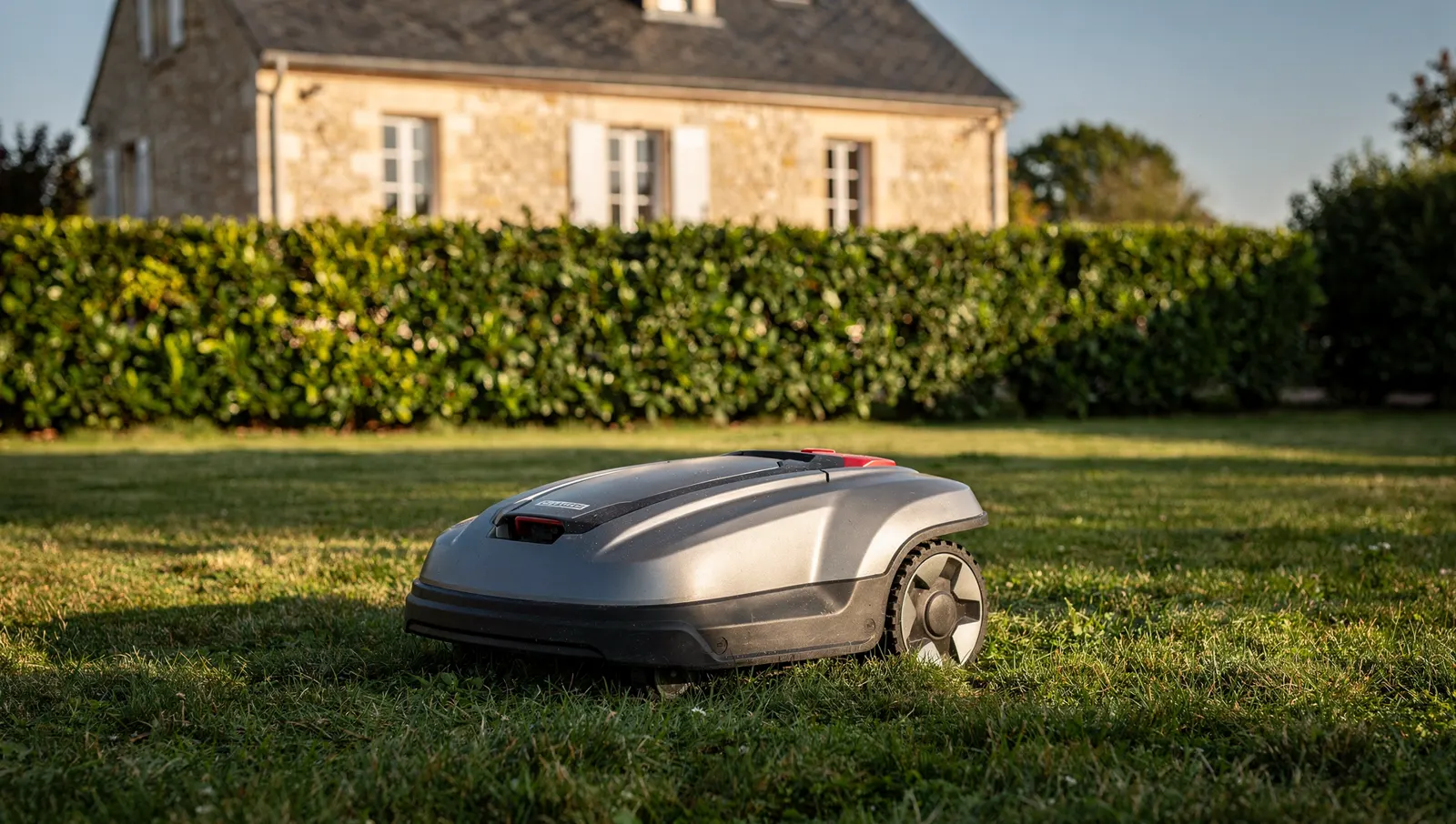 Robot tondeuse sur une pelouse de jardin, haie et maison en pierre en arrière-plan
